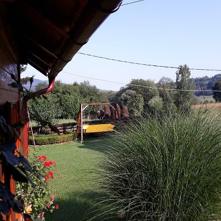 Guesthouse Kuzmanovic Guča Exteriör bild