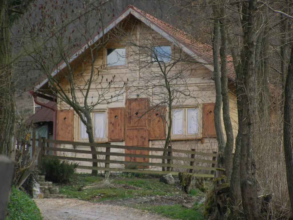 Guesthouse Kuzmanovic Guča Exteriör bild