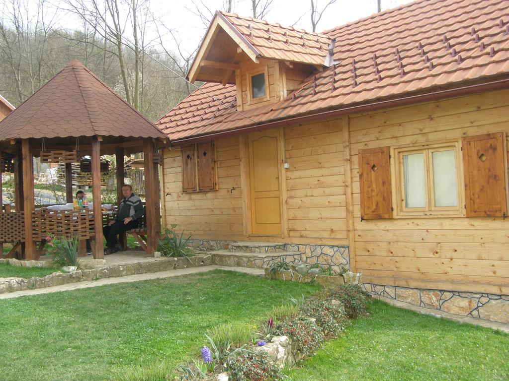 Guesthouse Kuzmanovic Guča Exteriör bild
