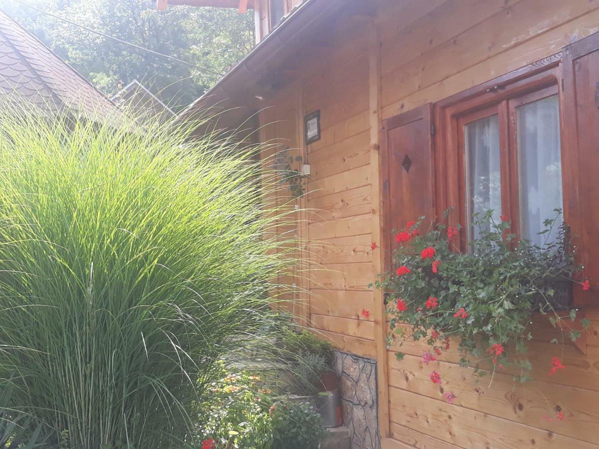 Guesthouse Kuzmanovic Guča Exteriör bild