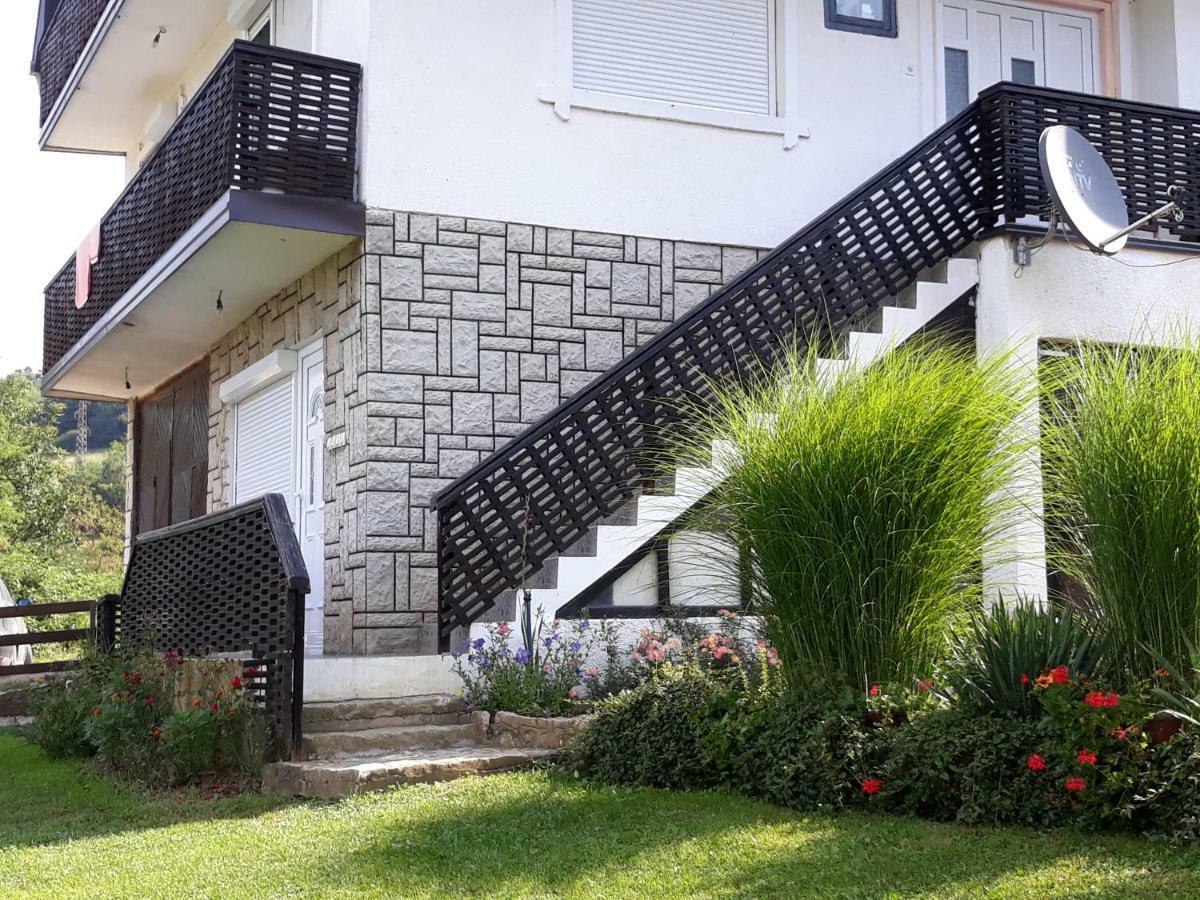 Guesthouse Kuzmanovic Guča Exteriör bild